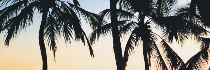 palomeandooo's profile banner image