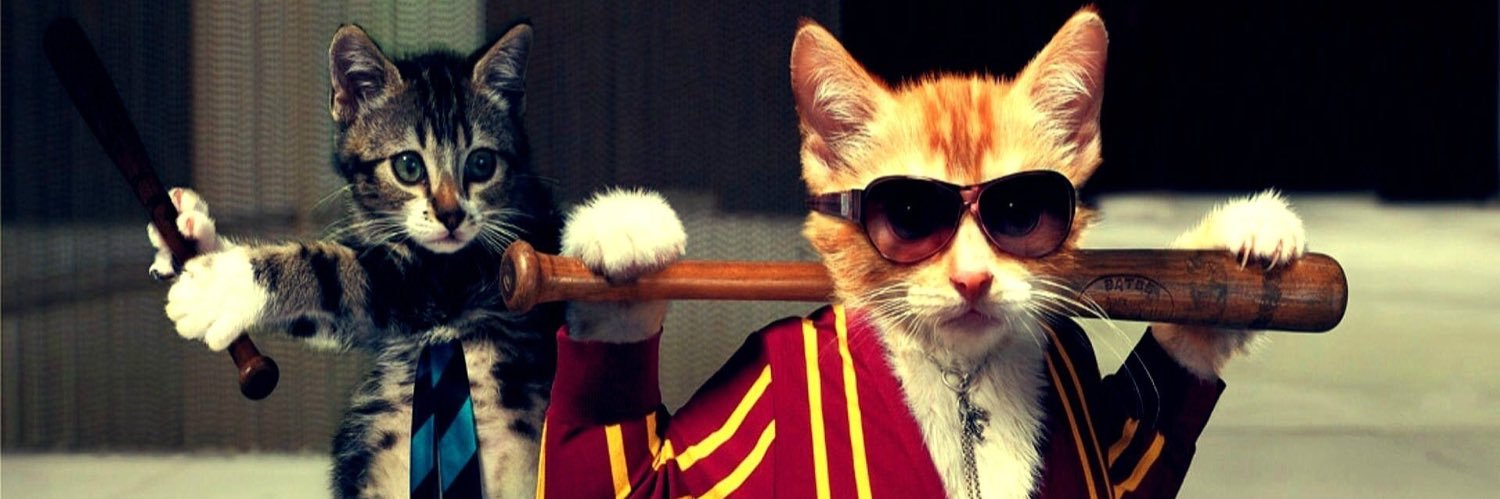 MizzReaders's profile banner image