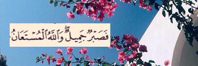 208abood's profile banner image
