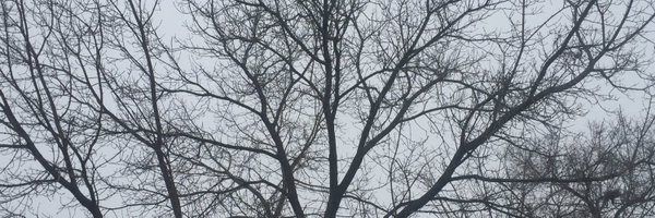 DidEricSay Profile Banner