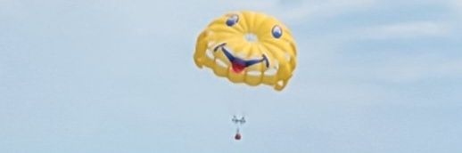 Paulette McLaughlin banner