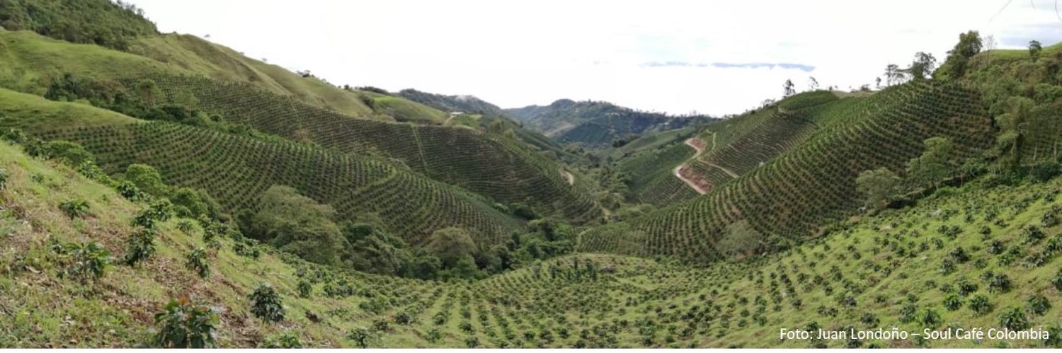 Soul Café Colombia® banner