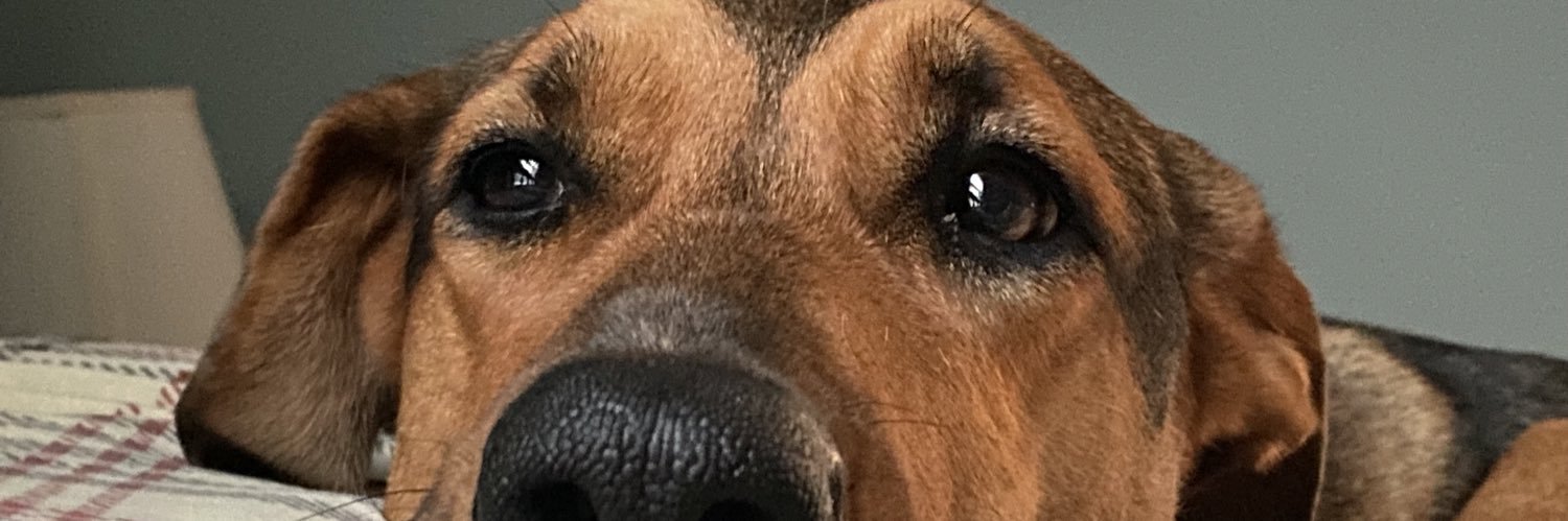 Dr. Thomas Tijerina banner