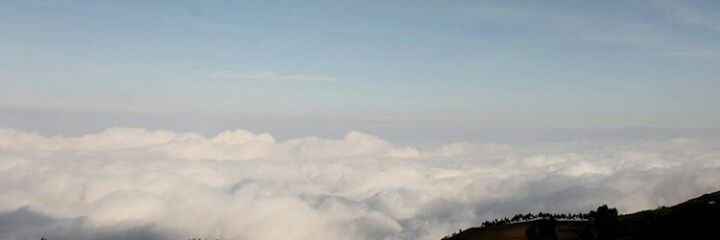 selviwp's profile banner image