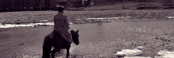 zescht Profile Banner