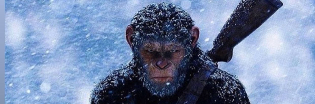 coachrydogg's profile banner image