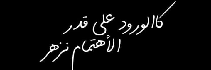HadeeL banner