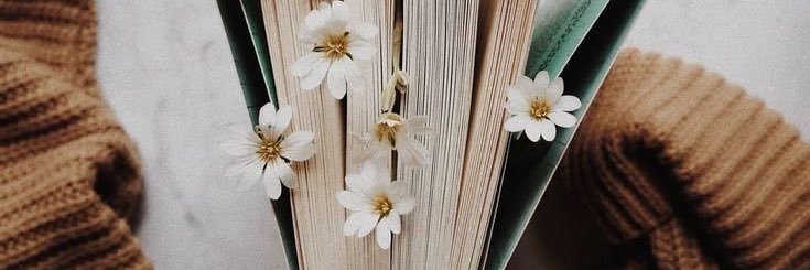 samgi10246's profile banner image