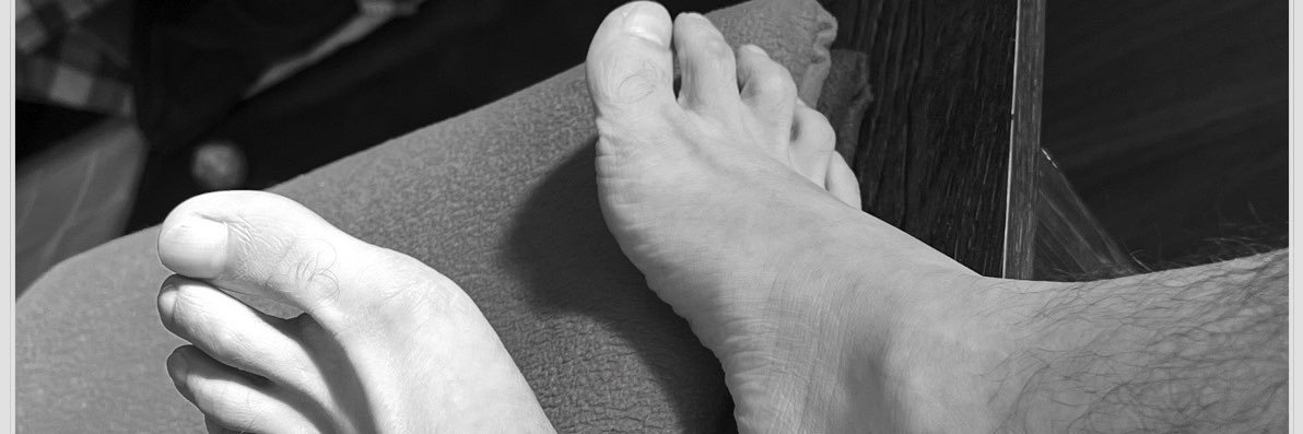 Lee La Maldita BIO banner