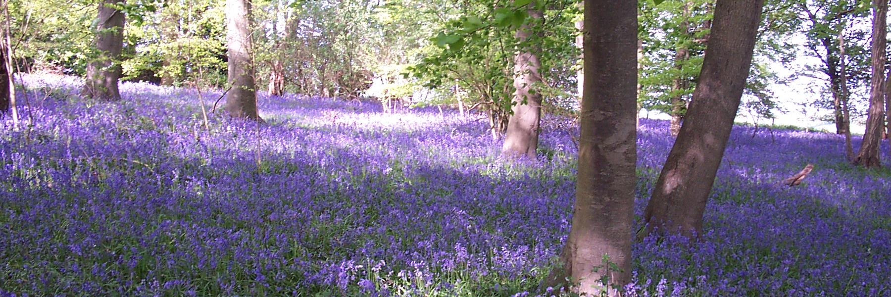 Martin Pounce banner