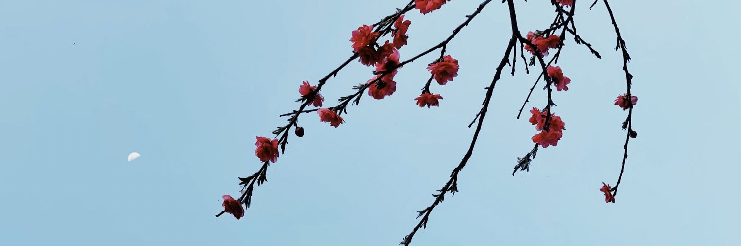 samdyjr's profile banner image