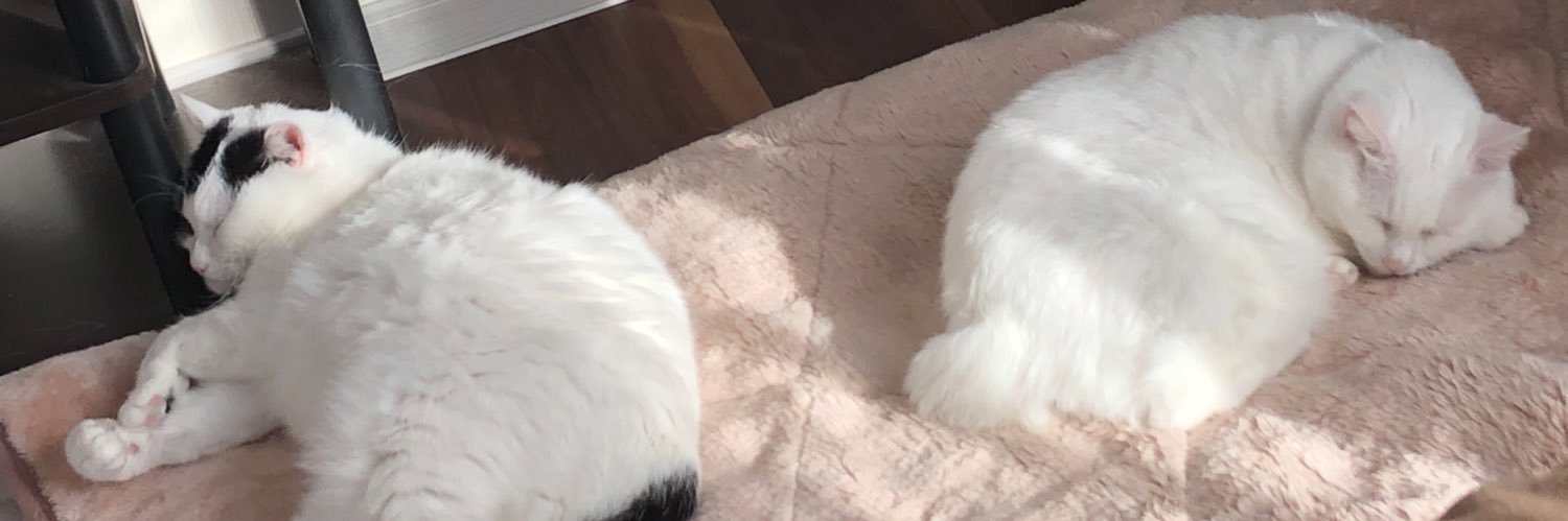 Pooh19m's profile banner image