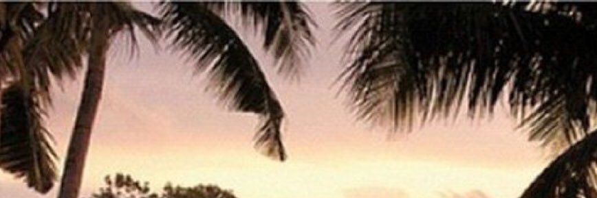 nimu64's profile banner image