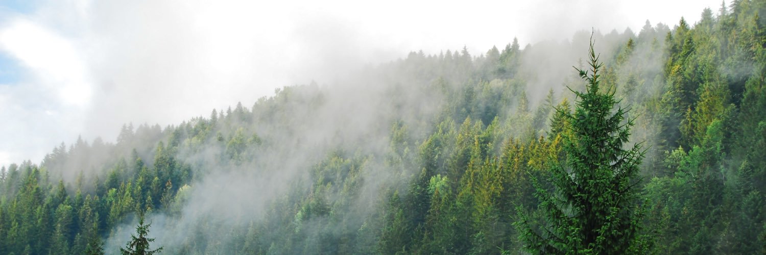 wellsjthinks's profile banner image