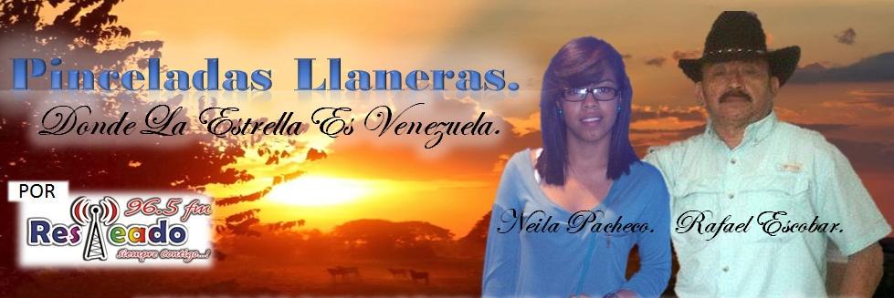 PLlaneras's profile banner image