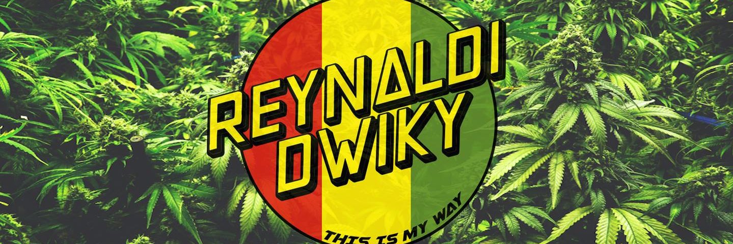 dwikyreynaldi's profile banner image
