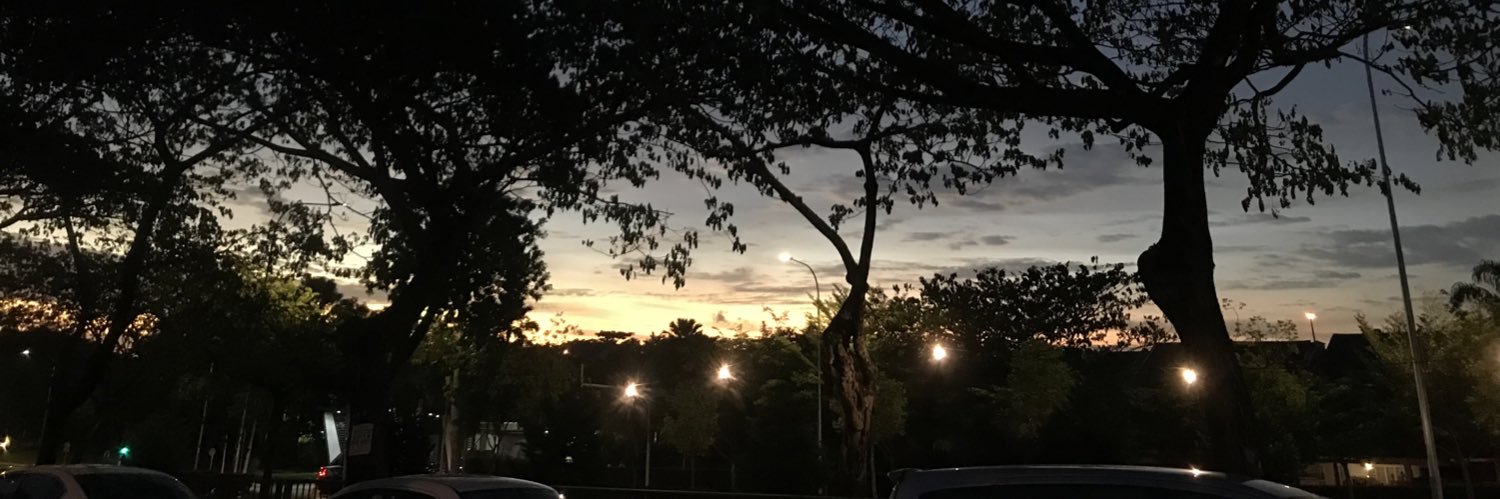 Dlfpdls's profile banner image