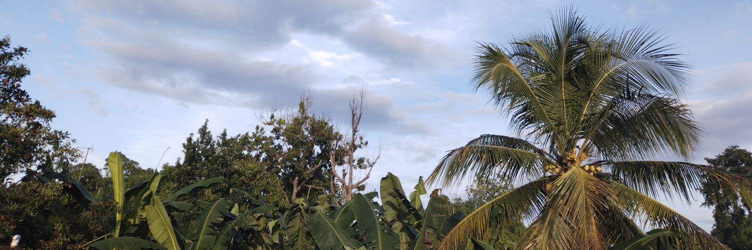 inggitieyo's profile banner image
