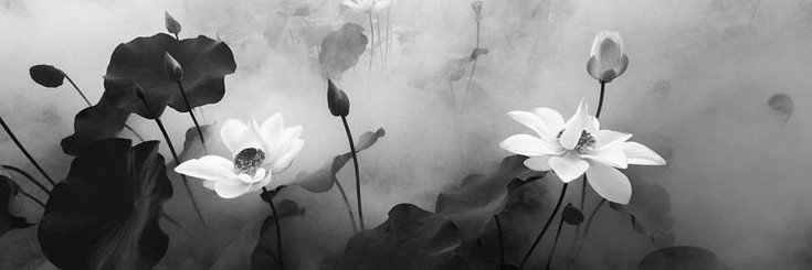 tendeirs's profile banner image