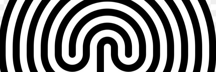 squidgenini banner