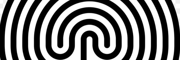 squidgenini Profile Banner