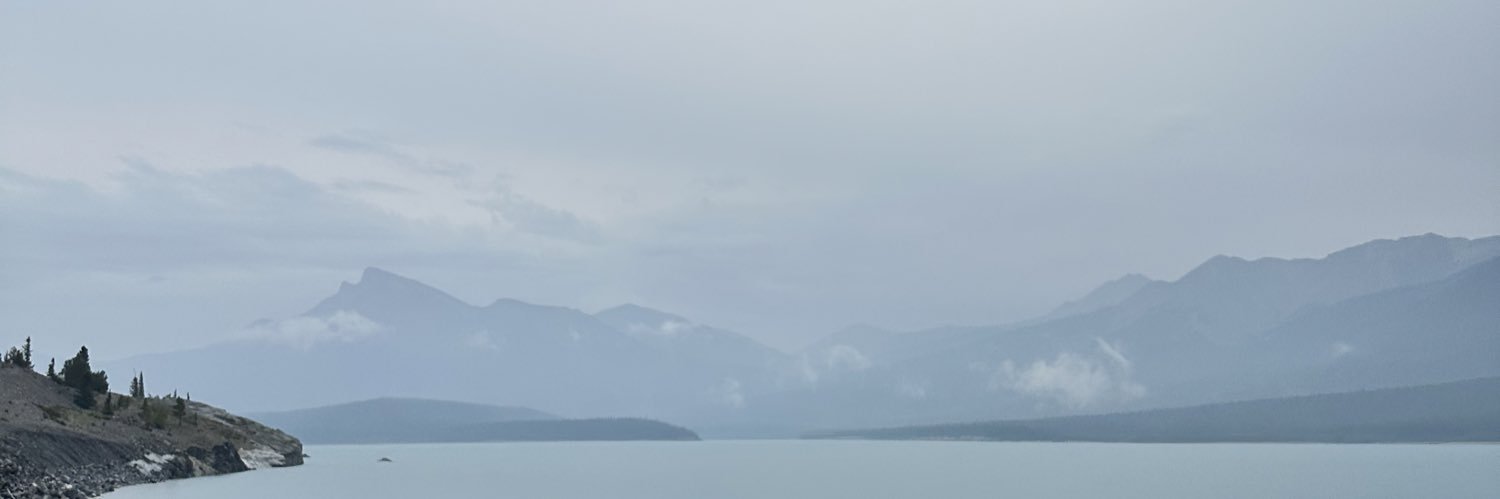 alison1697's profile banner image