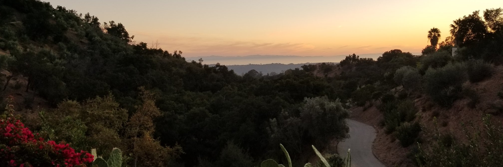 MicFree1's profile banner image