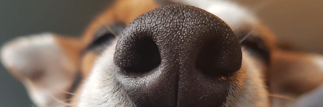 frangelm_'s profile banner image