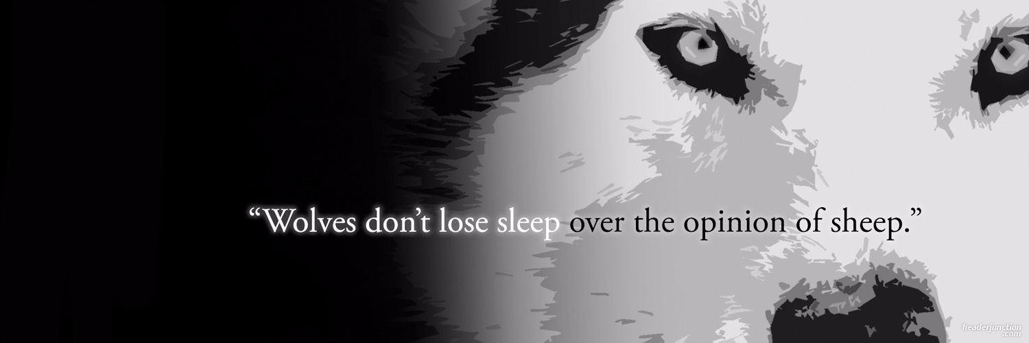 ankitjain145's profile banner image
