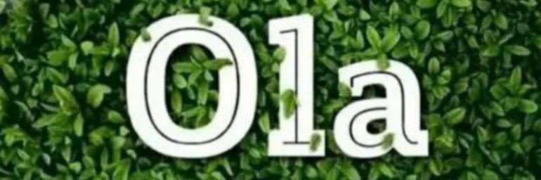 Josh Ola banner