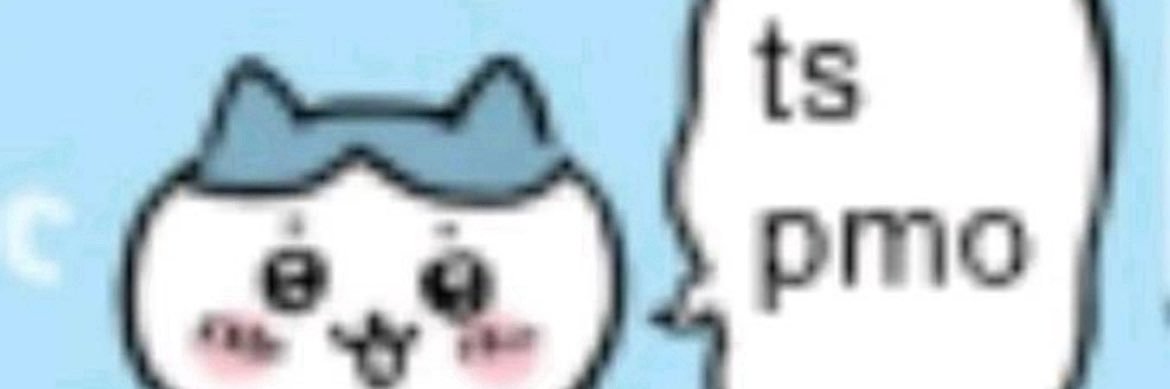 🦧 🇵🇷 banner