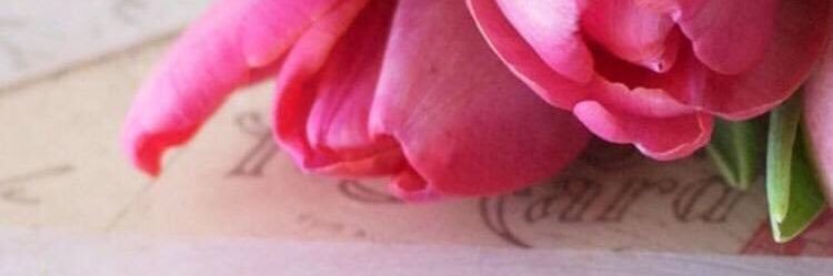Wafaa_Azhrani's profile banner image