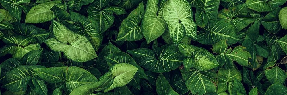 bitt11021's profile banner image