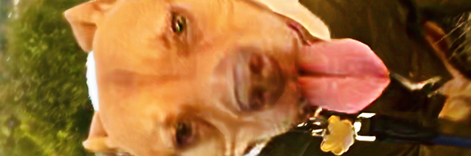 Edselkiddo5's profile banner image