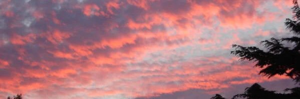 FontLea's profile banner image