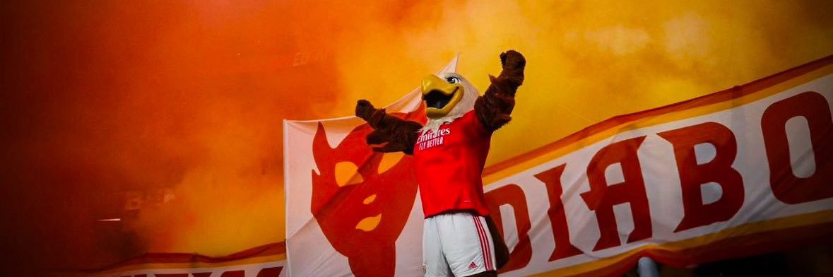 Birameee's profile banner image