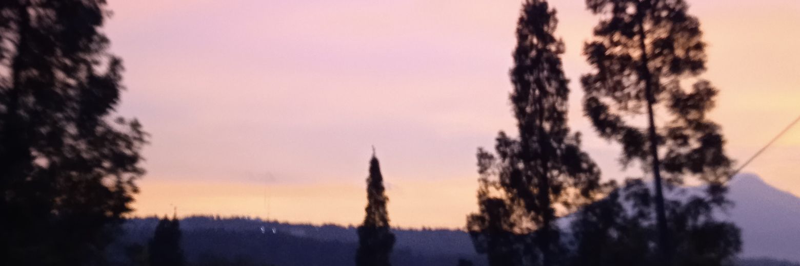 ennjunn's profile banner image