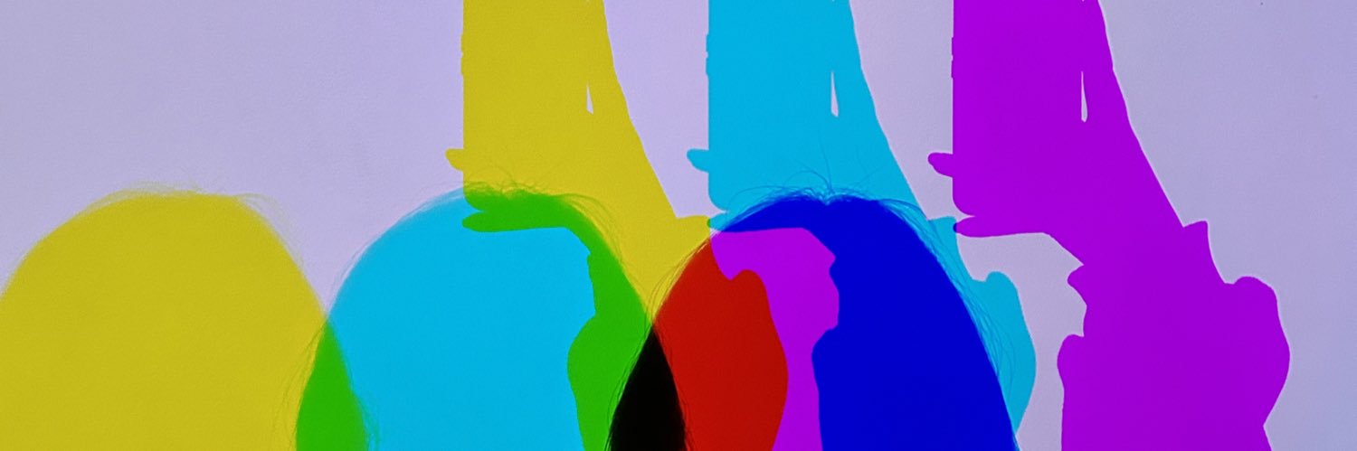 lesadnin's profile banner image