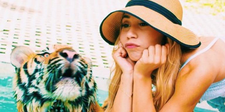 typicaleva's profile banner image