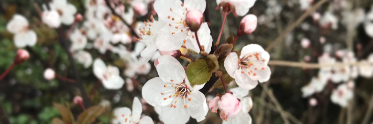 ItsOnlyEllie96's profile banner image