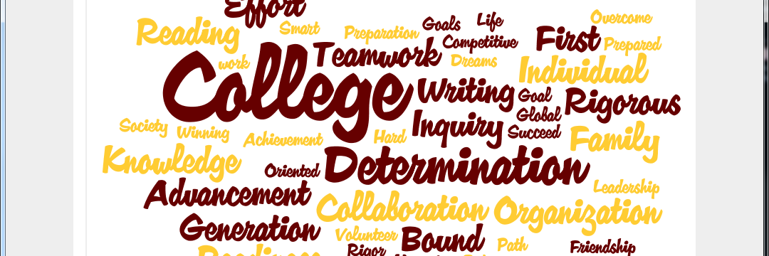 MMHSAVID2016's profile banner image