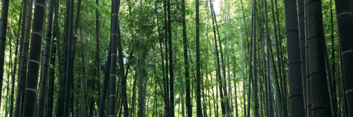 saenonc5's profile banner image