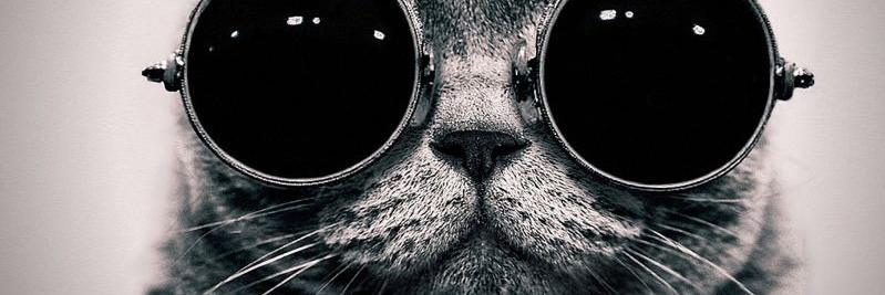 _ThaisRibeiro_'s profile banner image