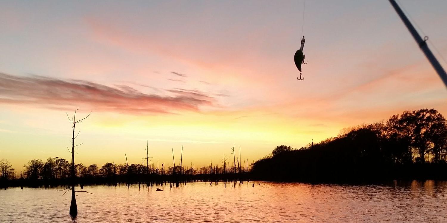 SouthernBassGuy's profile banner image