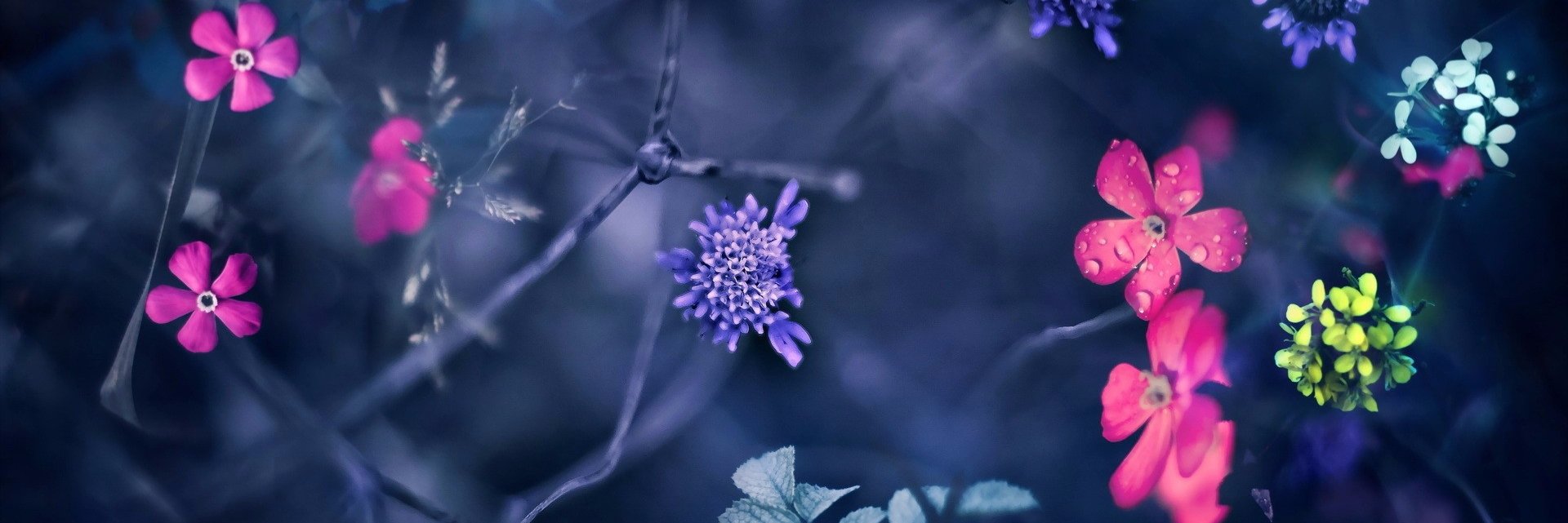 TERESA4063's profile banner image