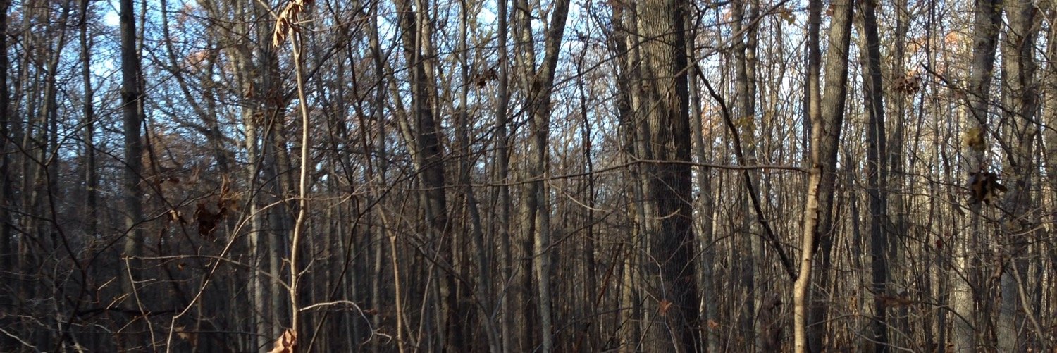 AberlJessie's profile banner image