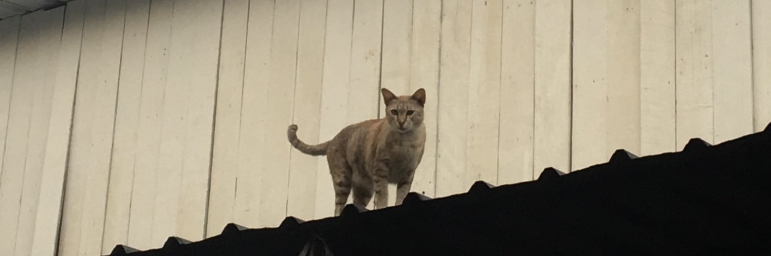 ᵐⁱᵉ🧸 banner