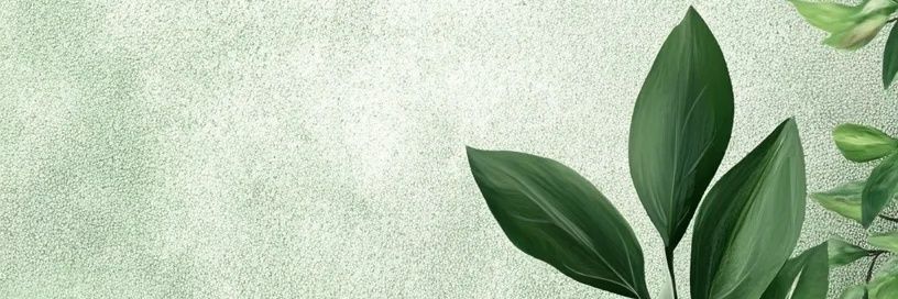 じょだる banner