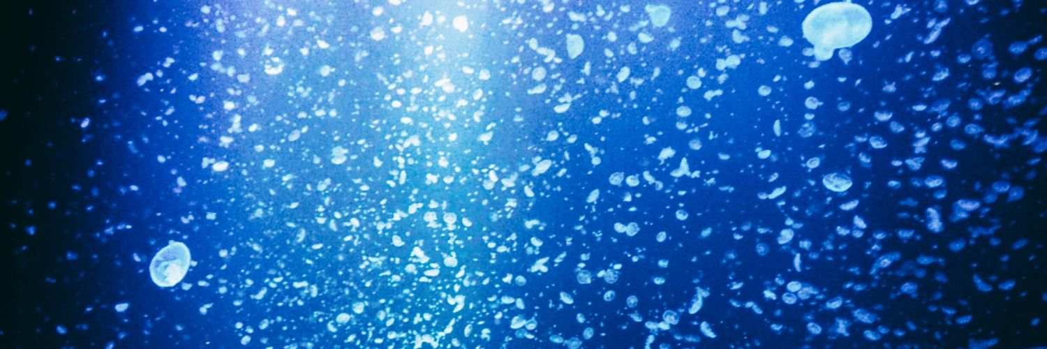 もなか banner