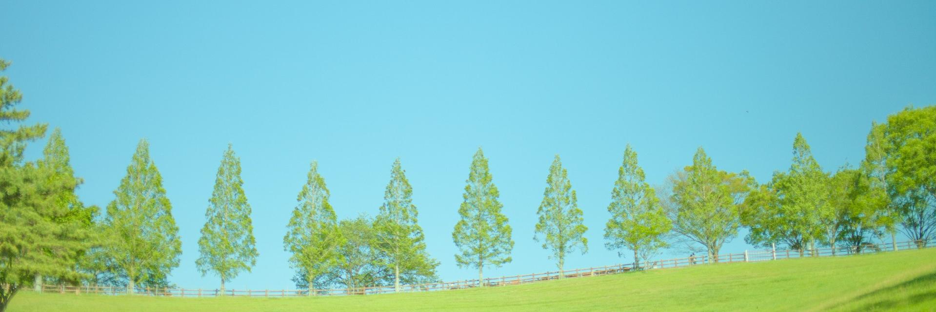 yabukimit's profile banner image